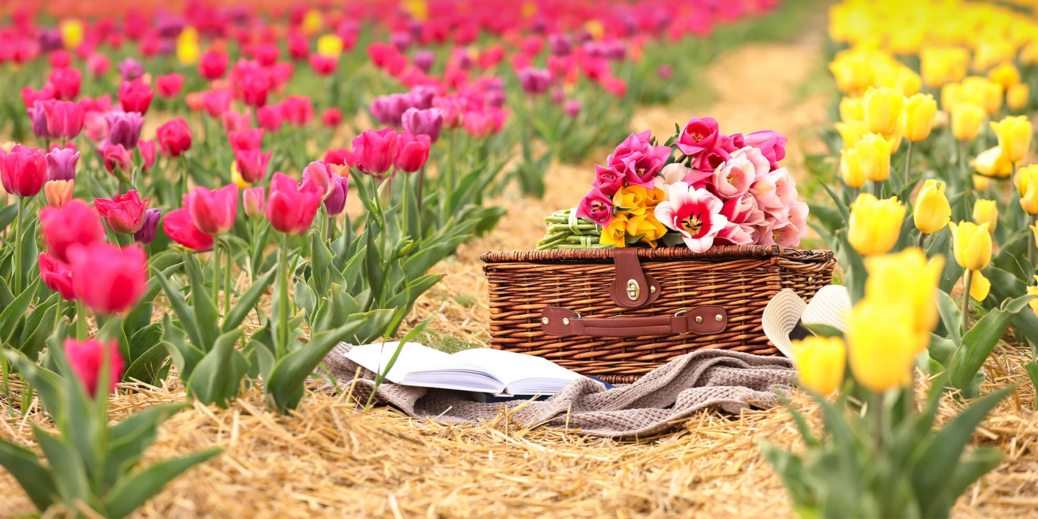 Un jardin à cueillir au printemps