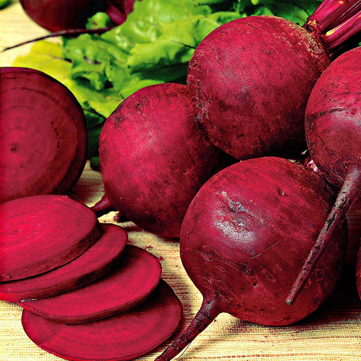 Betterave rouge 'Kogel 2' - Beta vulgaris kogel 2 - Bakker