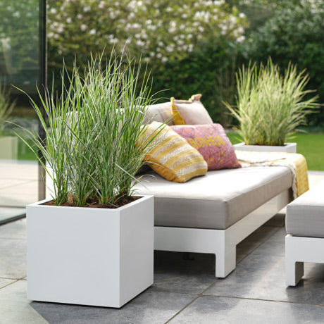 Tendances jardin