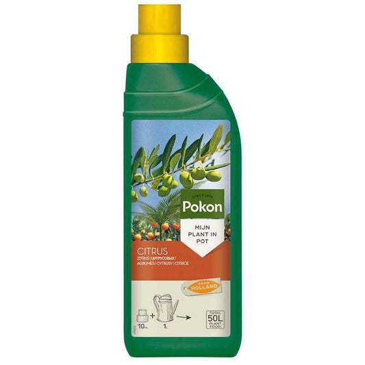 Pokon engrais liquide pour citronnier & plantes méditerranéénnes - Bakker