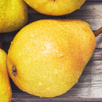 Vente Poirier 'Williams'