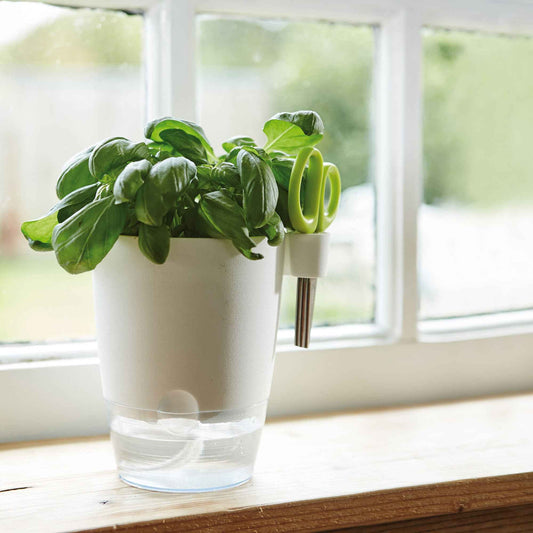 Pot d'herbes Brussels Elho Allin1 - Bakker