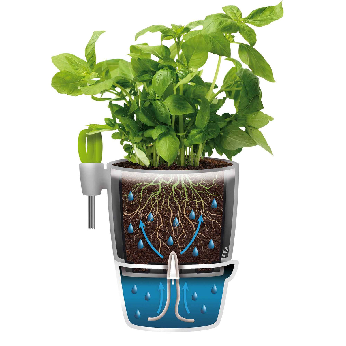 Pot d'herbes Brussels Elho Allin1 -  - Bakker