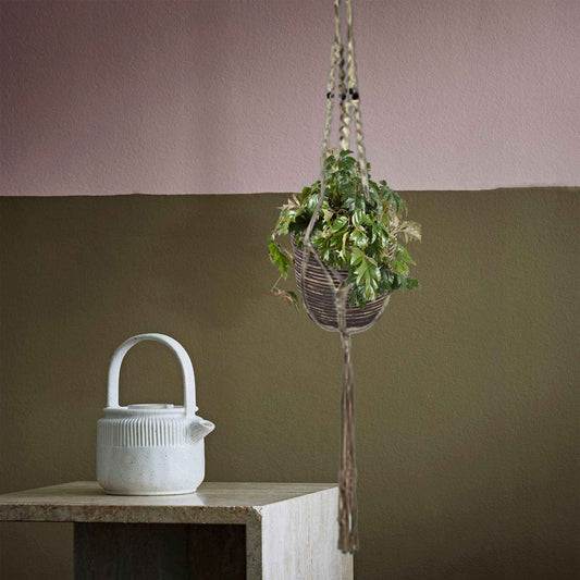 Woningerd Cissus 'Ellen Danica' avec pot suspendu en plastique  - Plante suspendue - Facile d’entretien