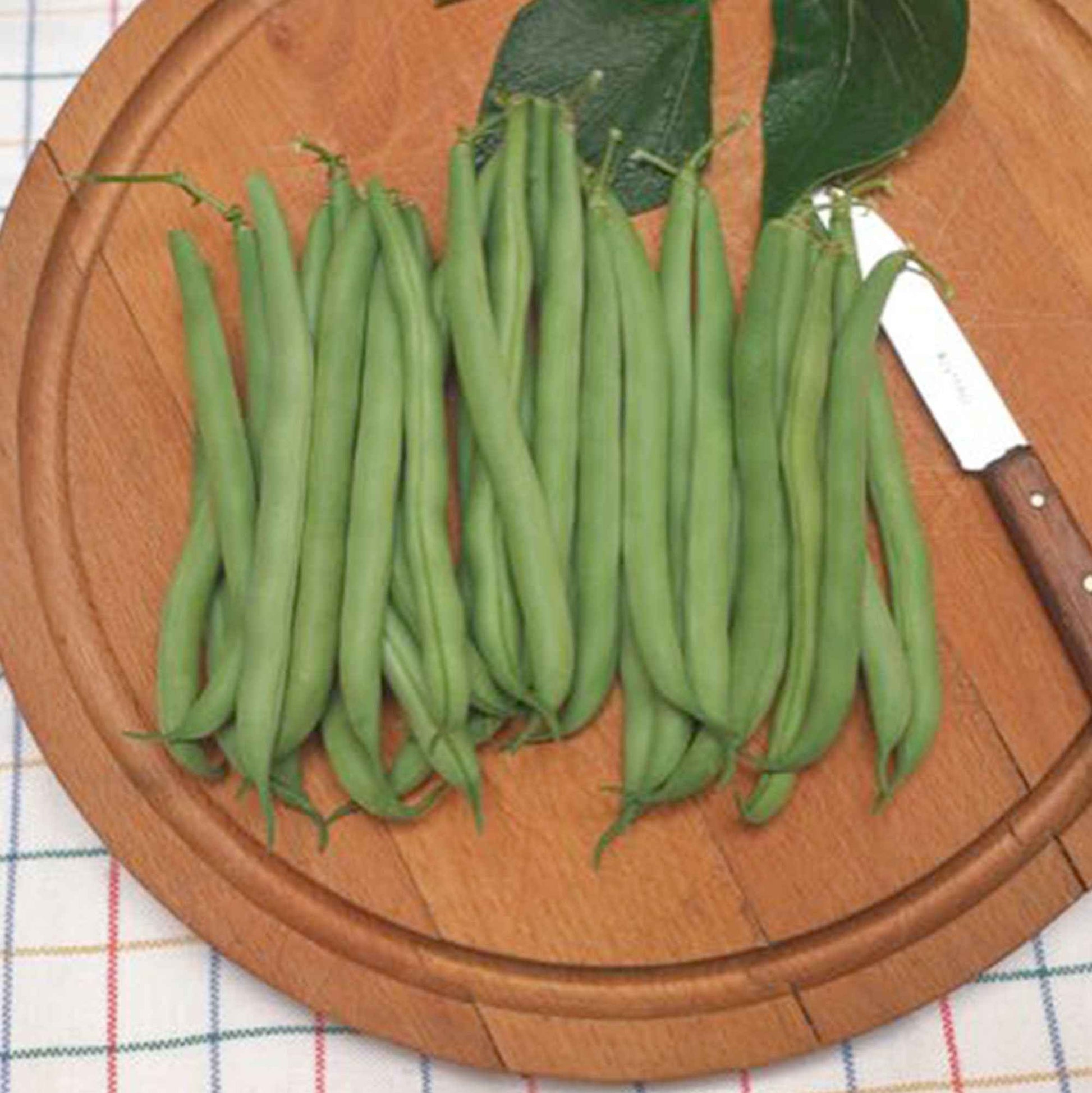 Haricot mange-tout Phaseolus 'Prelude' 2,5 m² - Semences de légumes - Graines