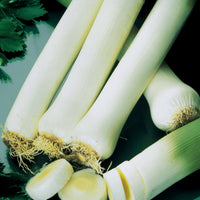 Graines de Fruits et Légumes - Poireau 'De Carentan 2' - Allium porrum monstrueux de carentan 2 (30 g)