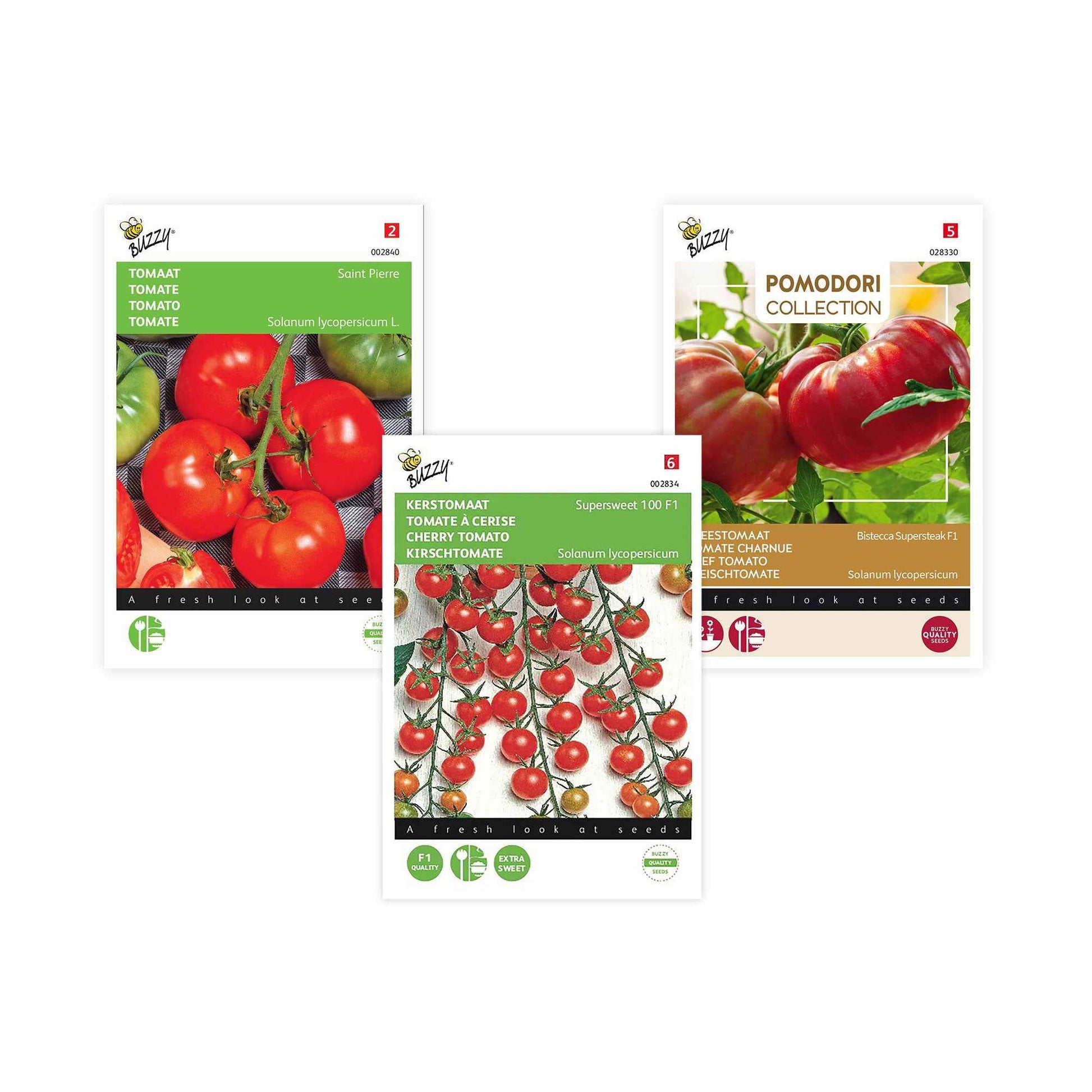 Pack de tomates 'Tomates Tentantes' Solanum - Semences de légumes - Graines de Légumes