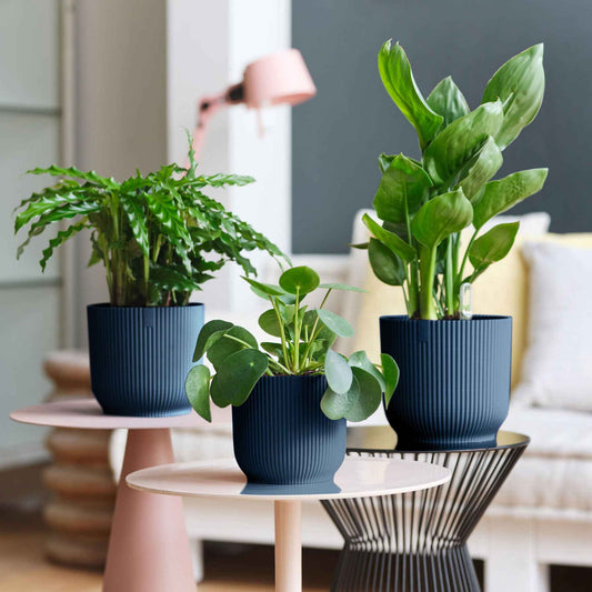 Pot de fleurs Elho Vibes Fold bleu - Bakker