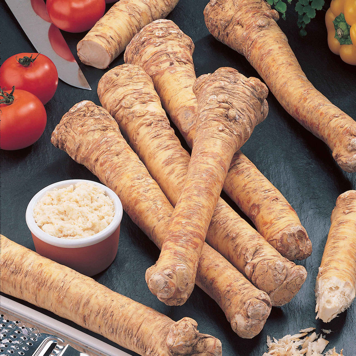 Graines pour potager - Raifort - Armoracia rusticana