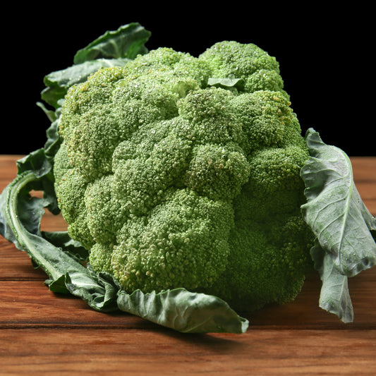 Brocoli 'Calabrese Natalino' Bio - Bakker