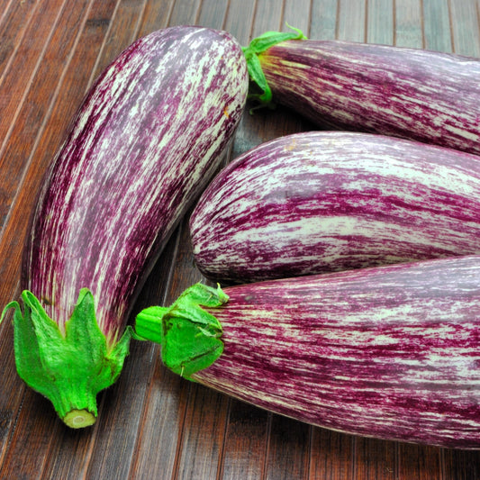 Aubergine Listada de Gandia