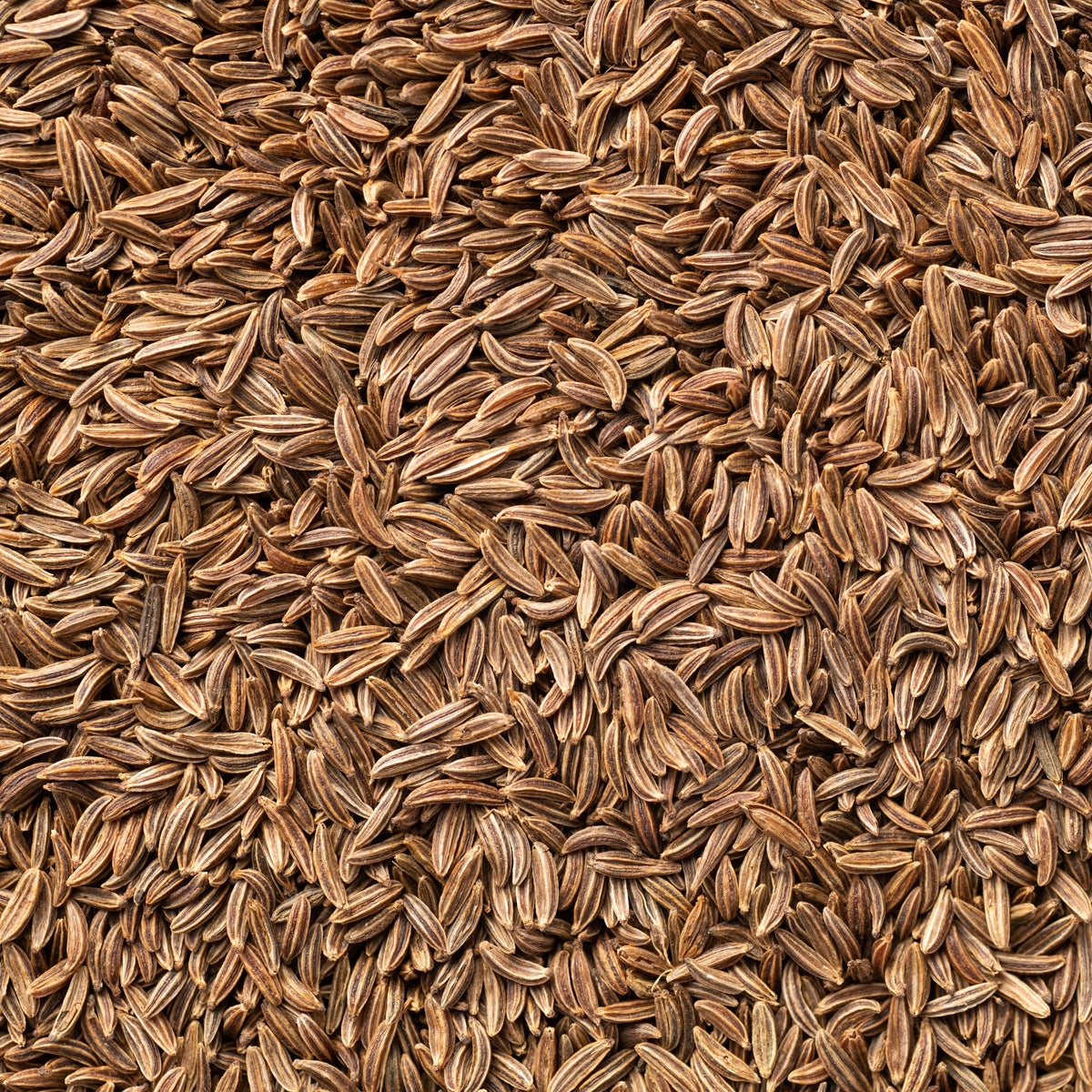 Cumin - Cumin - Bakker