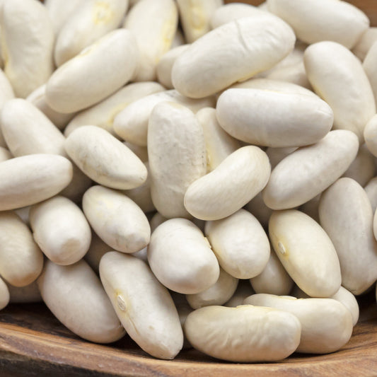 Haricot à rames Haricot Maïs type tarbais - Bakker