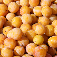 Vente Prunier Mirabelle de Nancy - Prunus domestica Mirabelle de Nancy