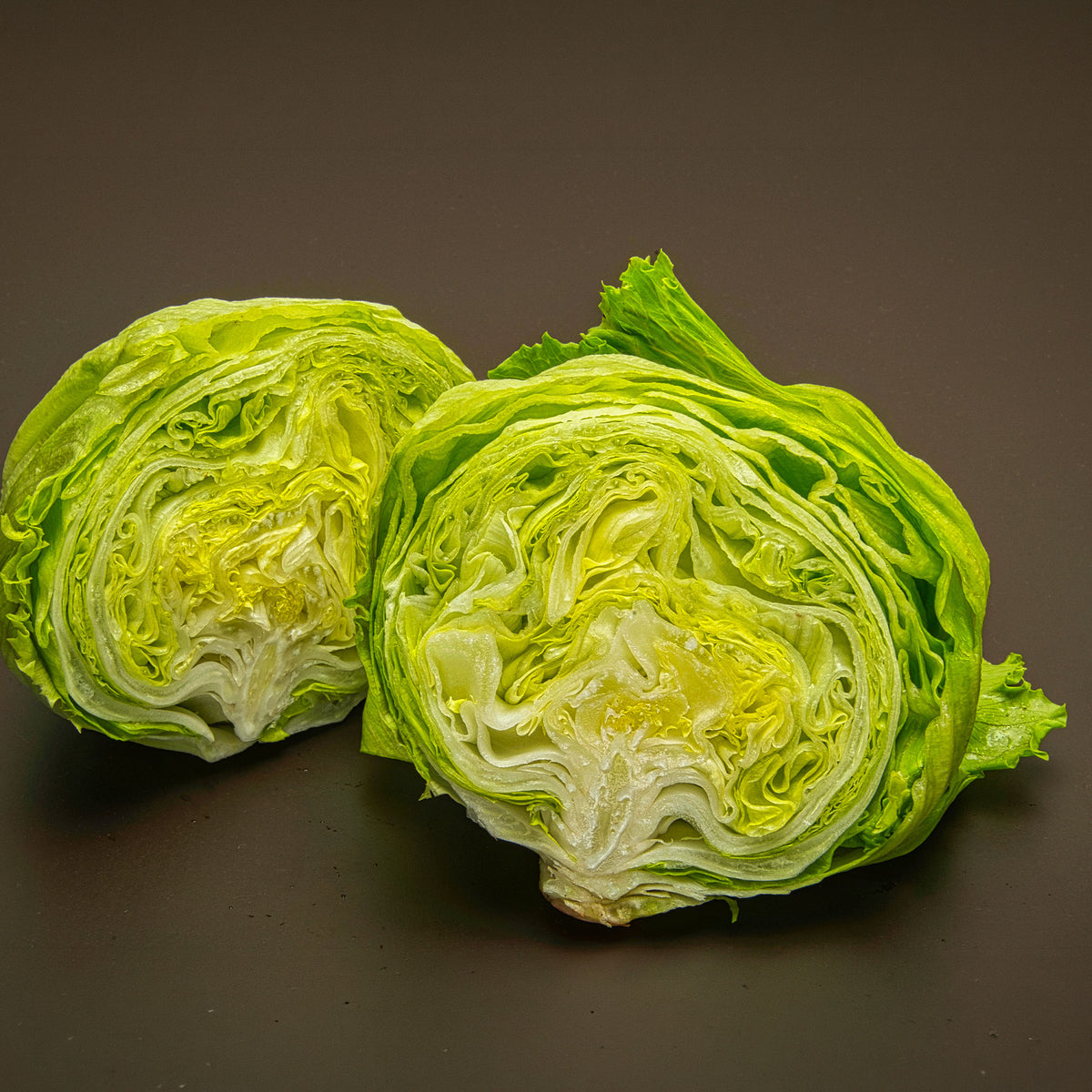Laitue batavia Great Lakes 659 - Lactuca sativa capitata great lakes 659 - Bakker