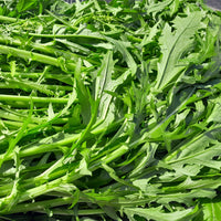 Vente Chou salade Japonais Mizuna Bio - Brassica rapa japonica mizuna