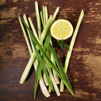 Citronnelle - Bakker