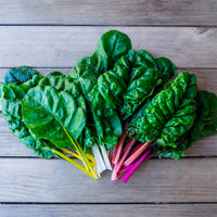 Poirées à cardes colorées en mélange