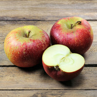 Pommier Ingrid Marie - Malus domestica Ingrid Marie - Bakker