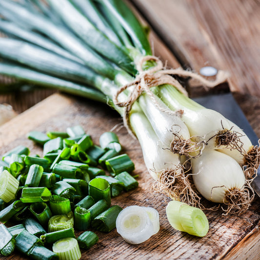 Oignon blanc de Lisbonne - Bakker