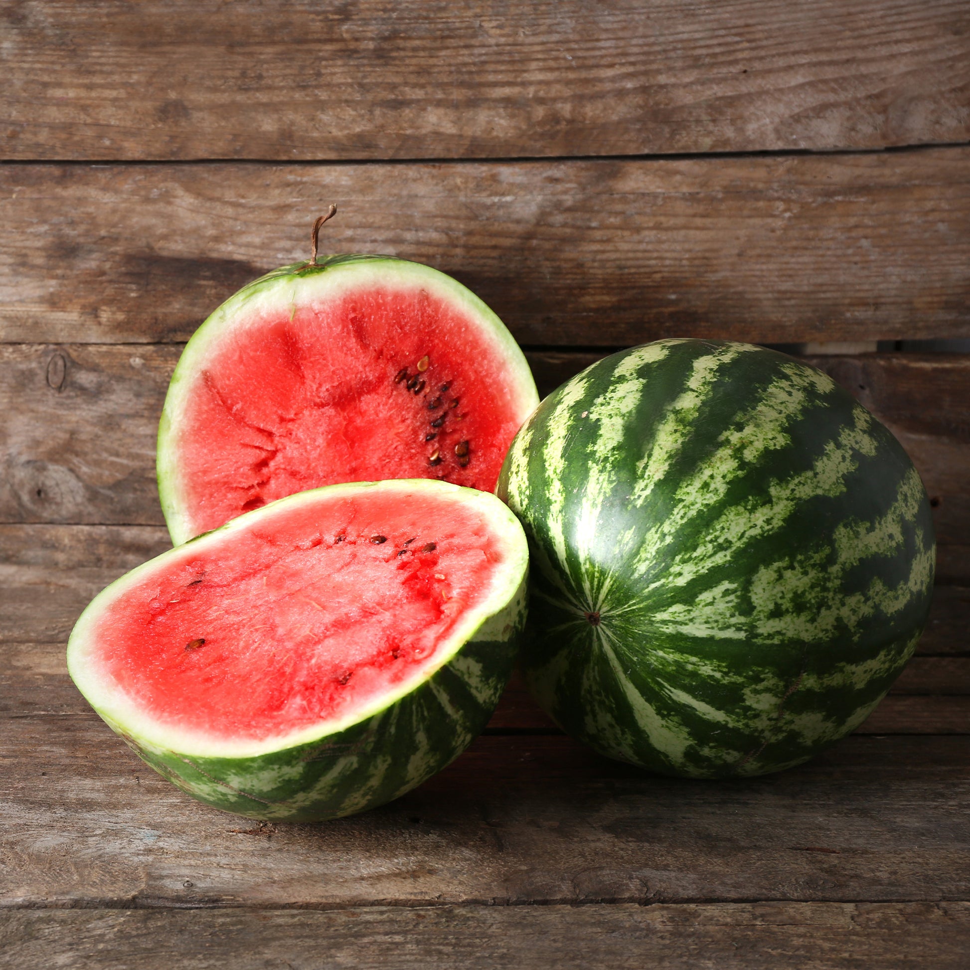 Pastèque 'Crimson Sweet' - Citrullus lanatus Crimson Sweet - Bakker