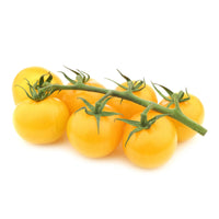 Solanum lycopersicum cocktail raisins jaunes - Tomate Cocktail Raisins jaunes - Graines de tomates