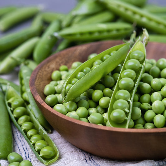 Pois nain Plein le Panier - Bakker