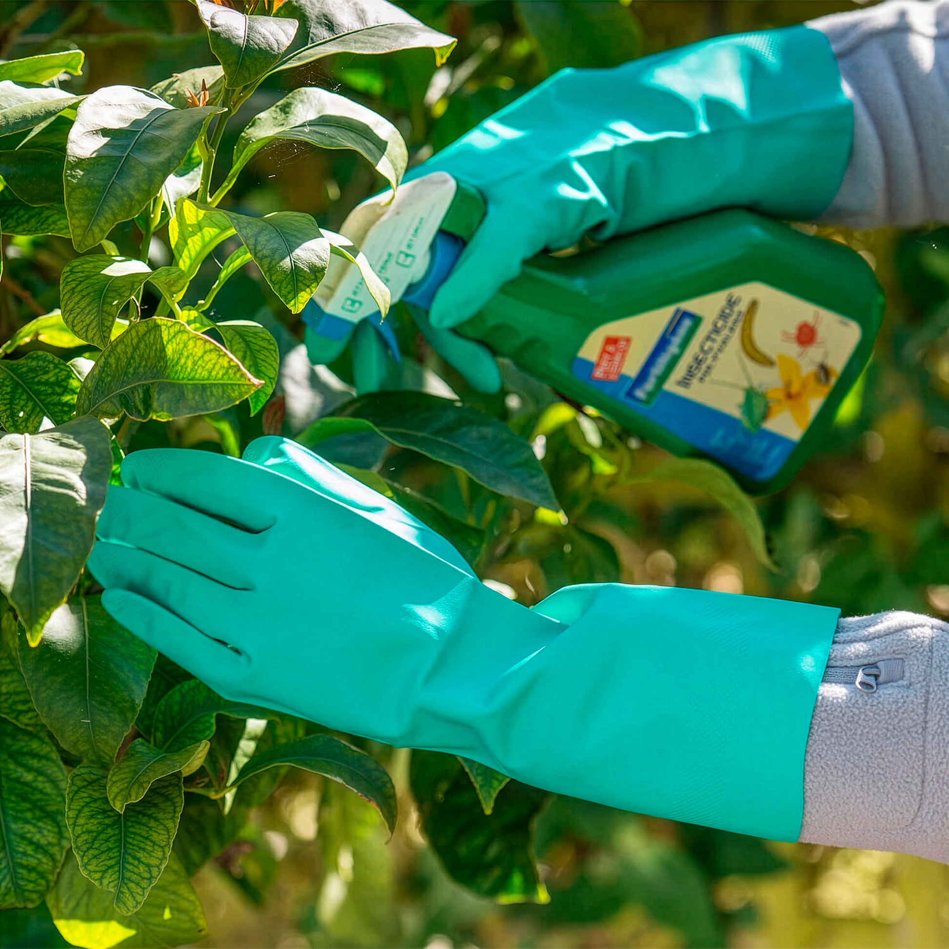 Paire de gants nitrile -  - Bakker