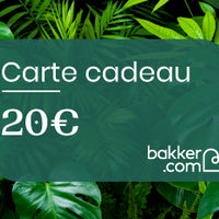 carte cadeau - 3