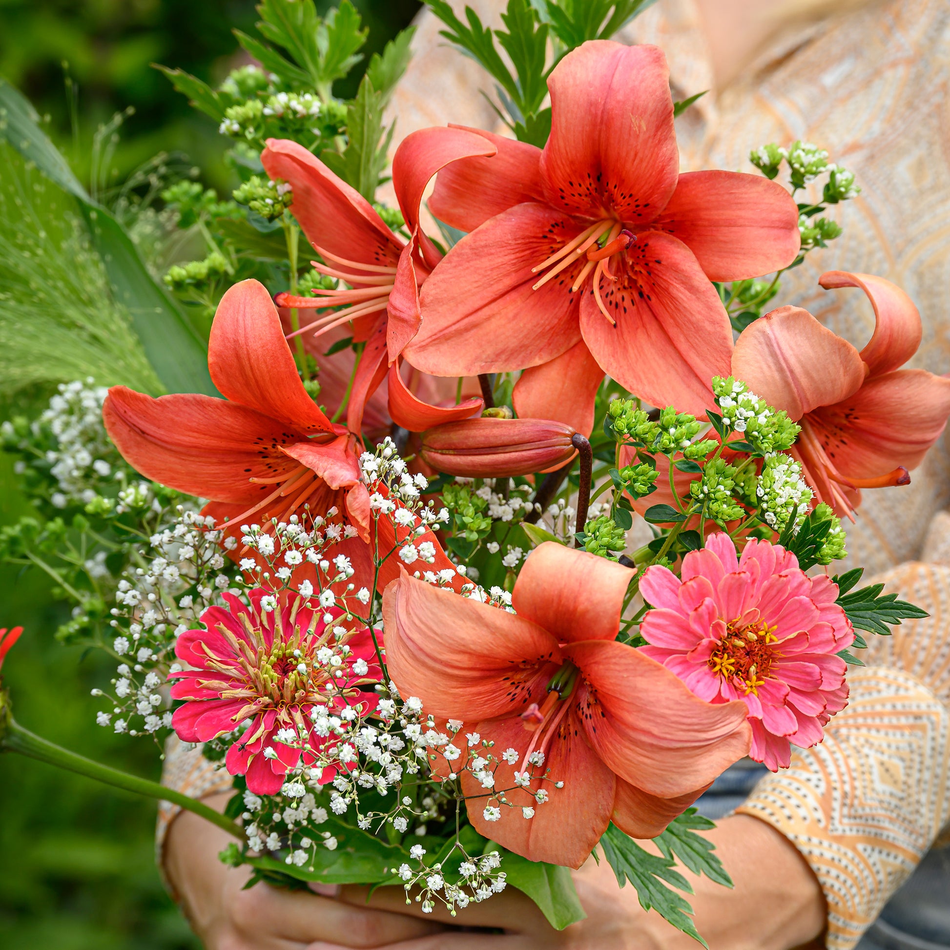 Bulbes de Lys - Lis asiatique rouge et mélange de graines de fleurs - Lilium asiaticum red