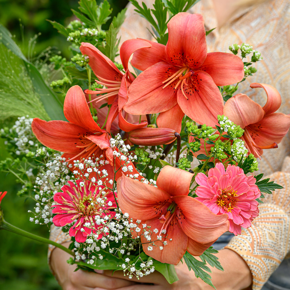 Bulbes de Lys - Lis asiatique rouge et mélange de graines de fleurs - Lilium asiaticum red