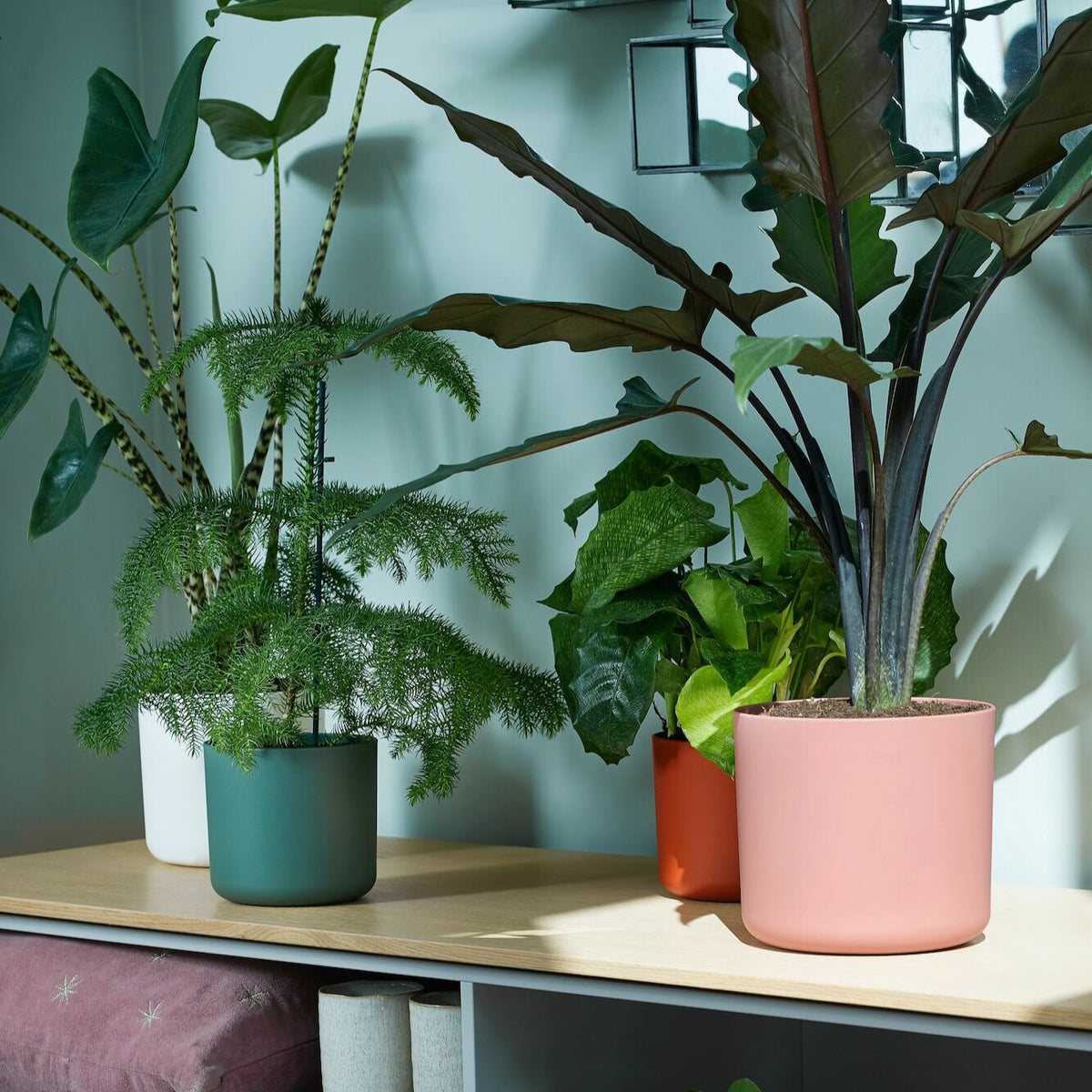 Petits pots d'intérieur - Cache-pot B for soft rond rose ELHO - 