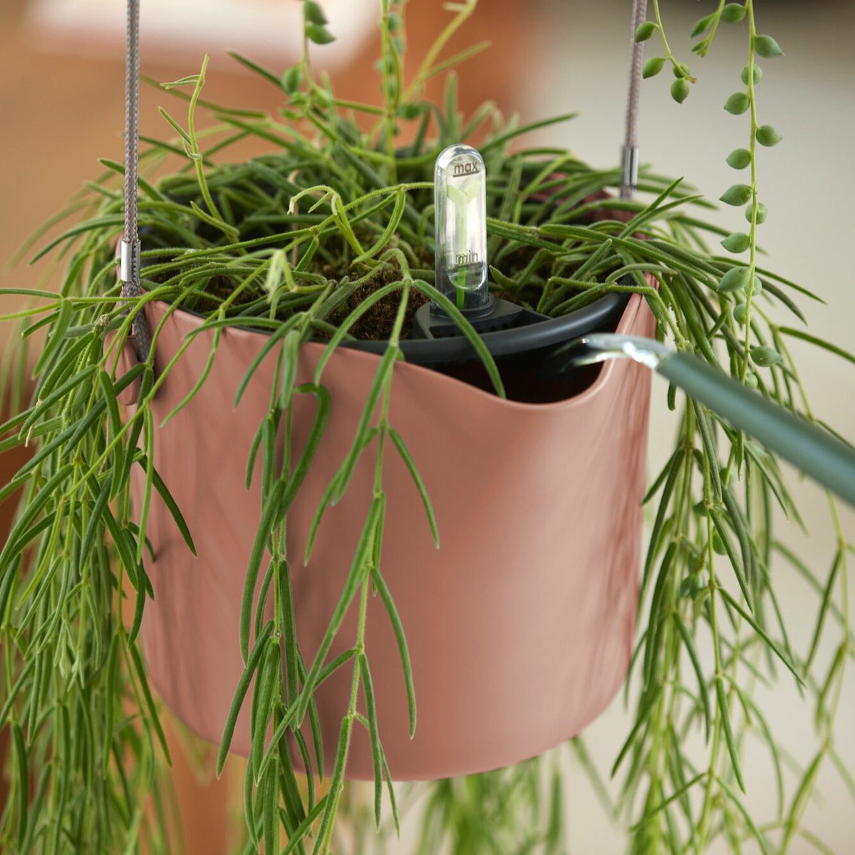 Suspension B for swing rose ELHO - Pots suspendus - Bakker