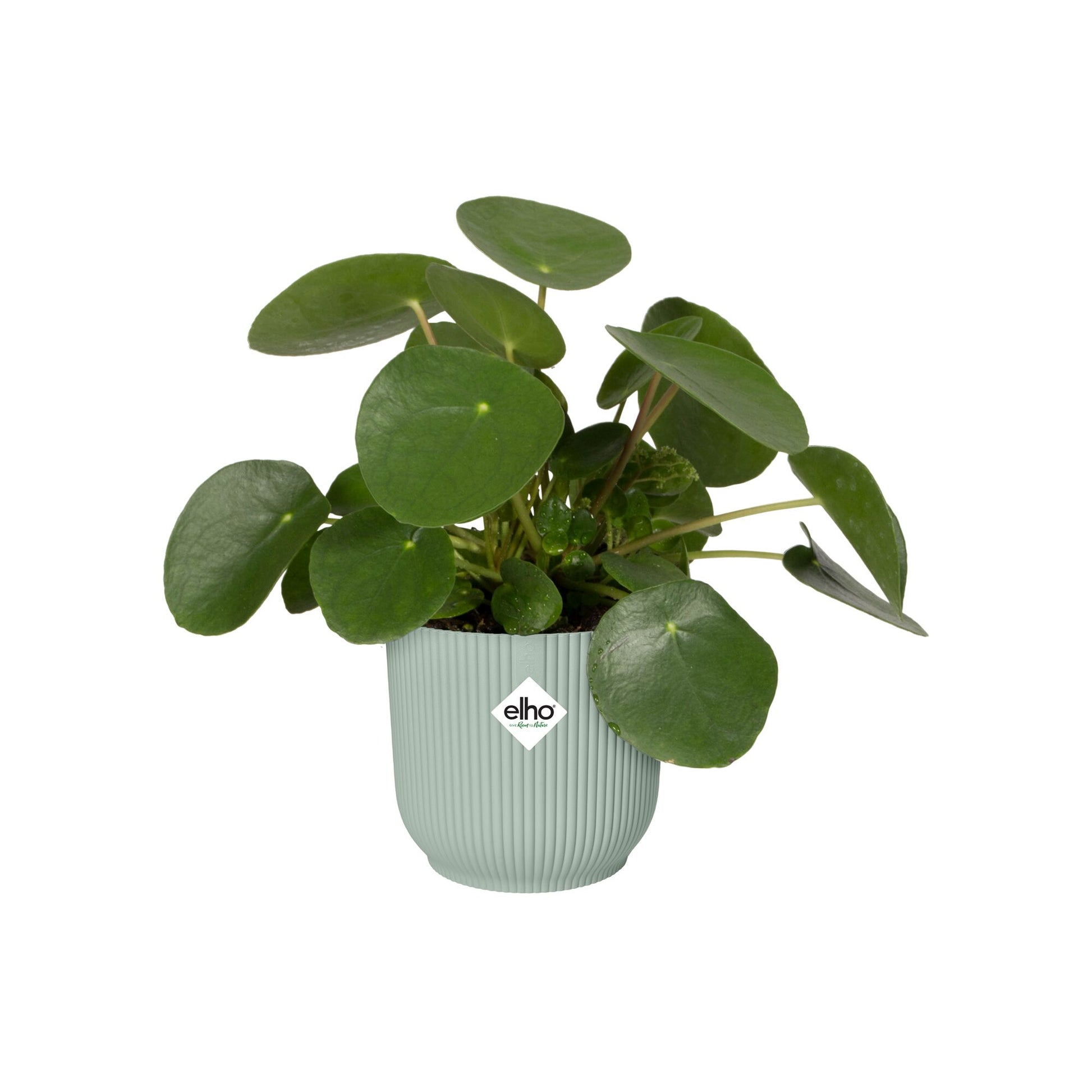 Cache-Pot Vibes fold rond Vert sorbet ELHO -  - Bakker