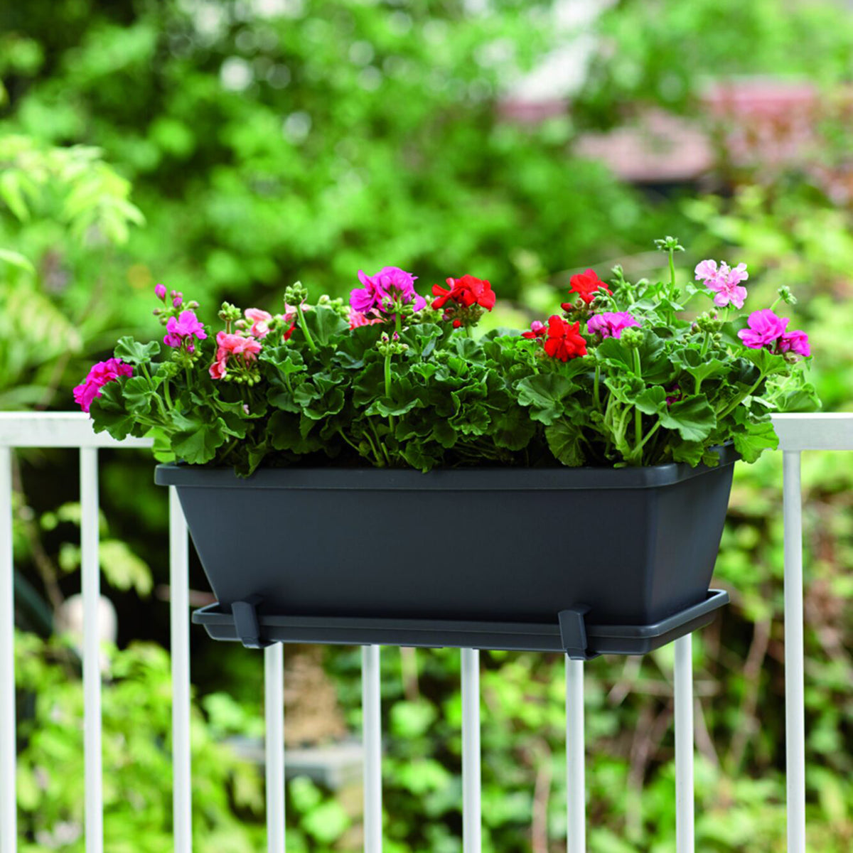 Jardinière Barcelona Anthracite  ELHO - Bakker