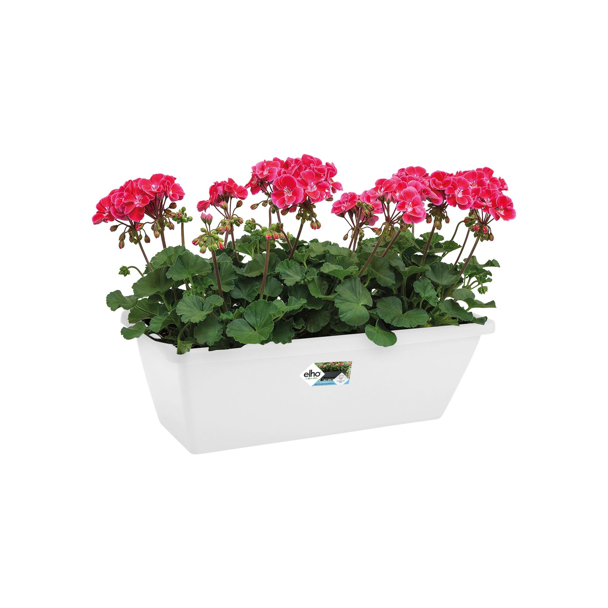 Jardinière Barcelona Blanc ELHO -  - Bakker