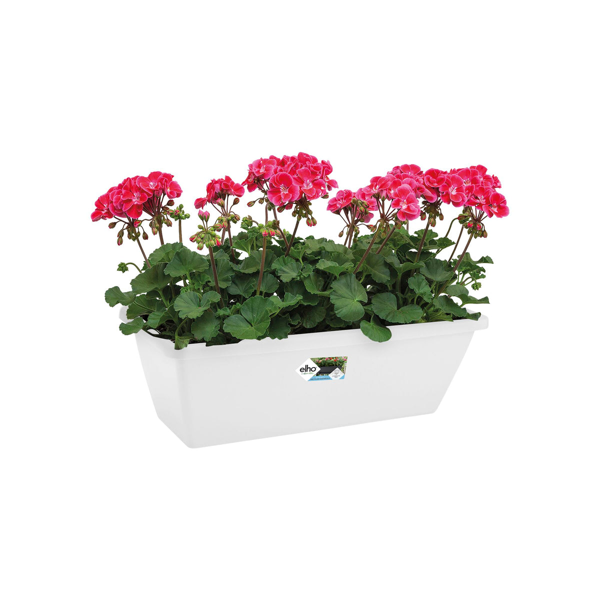 Jardinière Barcelona Blanc ELHO -  - Bakker