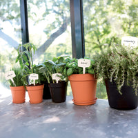 Pots d'extérieur - Pot de culture Green Basics Vert pierre - 