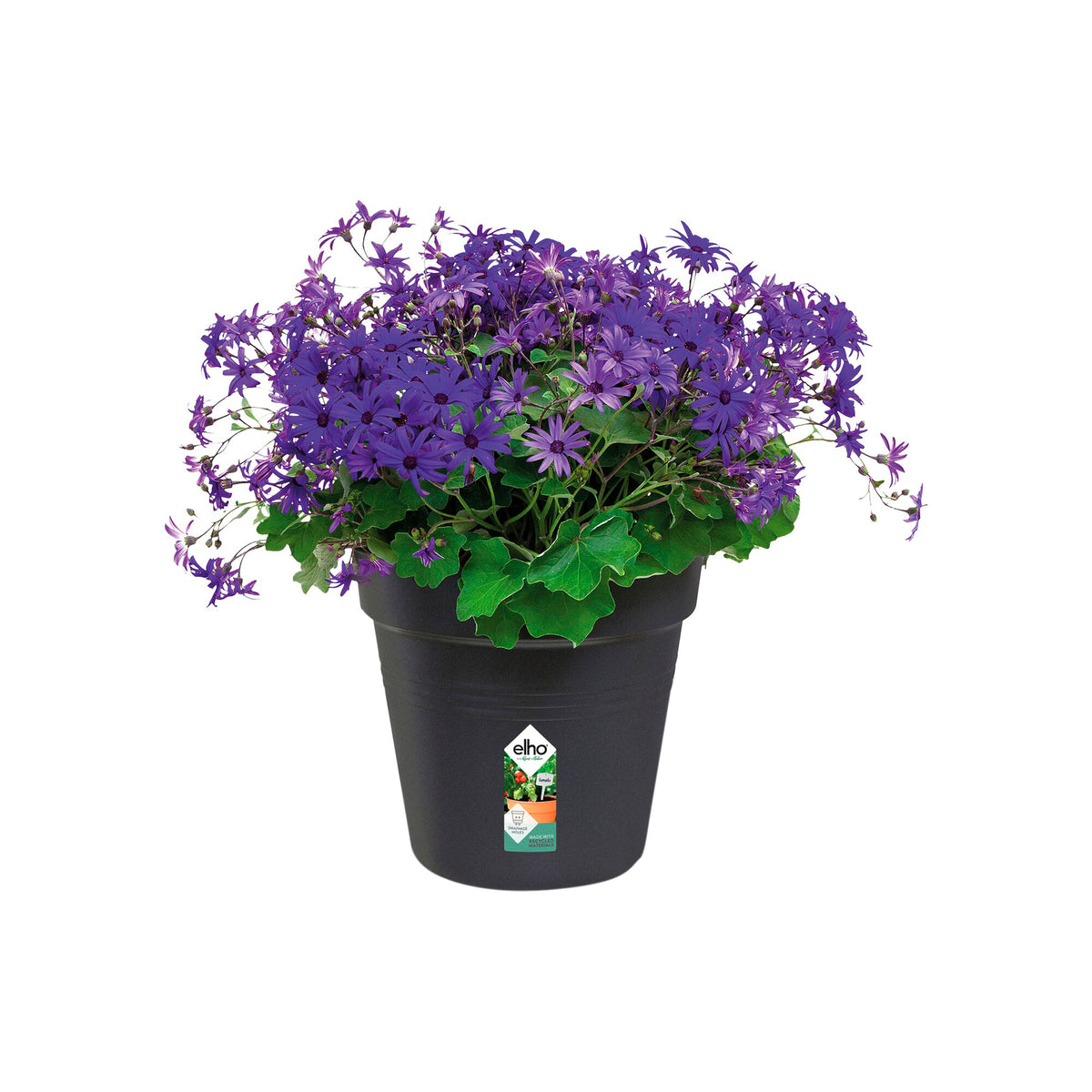  - Pot de culture Green Basics Living noir - Pots d'extérieur