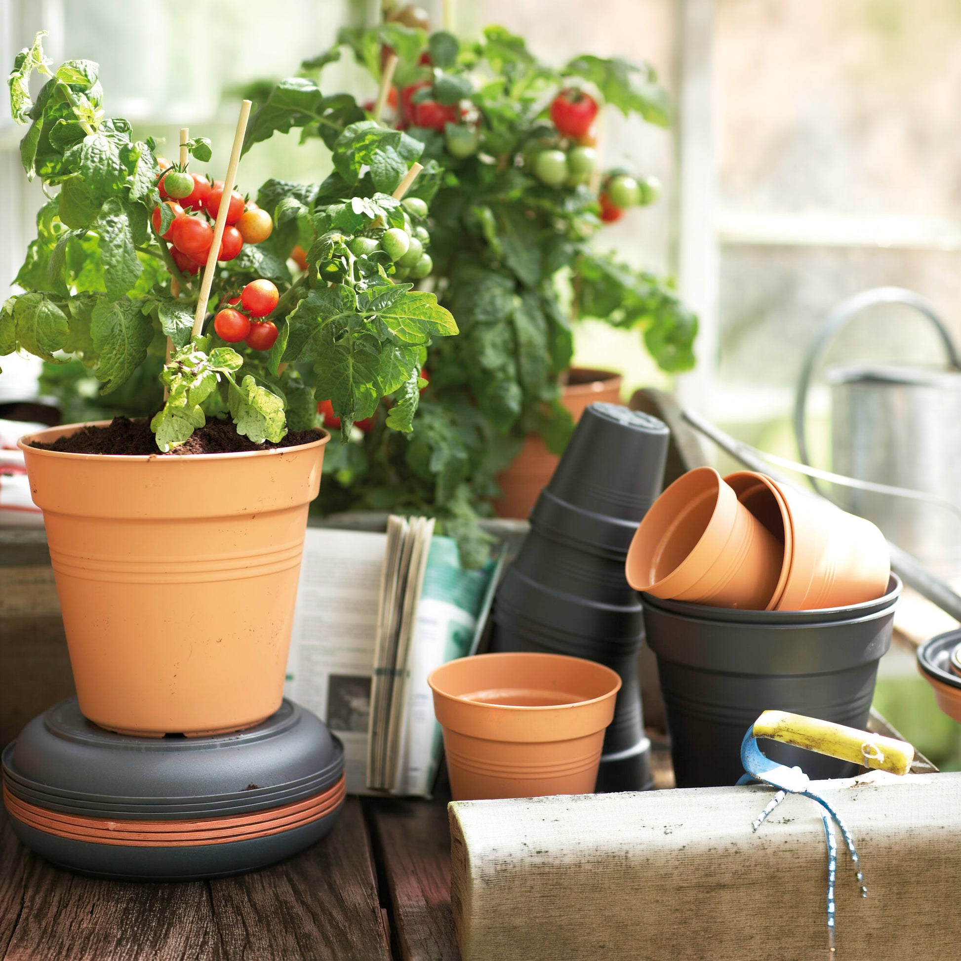 Vente Pot de culture Green Basics Terre cuite - 