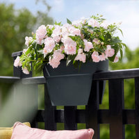 Balconière  Vibia Campana Flower Bridge Anthracite -  - Bakker