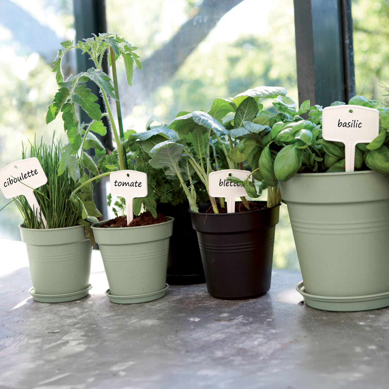  - Soucoupe Green Basics Vert pierre ELHO - Pots d'extérieur