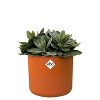 Elho Cache-pot B for soft rond brique