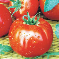 Vente Collection de 7 sachets de graines pour potager