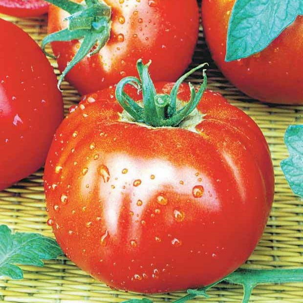 Vente Collection de 7 sachets de graines pour potager