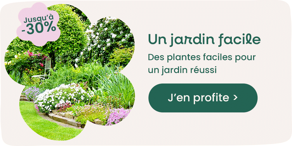 Un jardin facile : jusqu'à -30% !