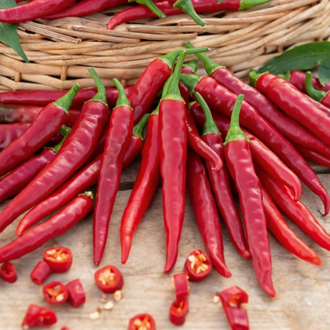 Piment de Cayenne - Bakker