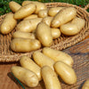 25 Pommes de terre Amandine - Bakker