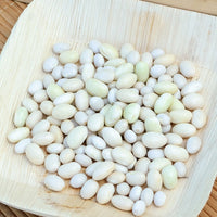 Haricot Coco nain blanc précoce - Phaseolus vulgaris coco blanc précoce - Bakker