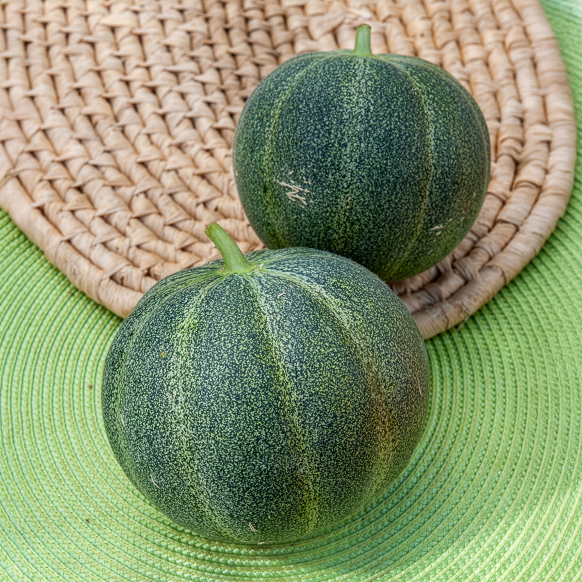 Melon Petit Gris de Rennes - Cucumis melo Petit Gris de Rennes - Bakker